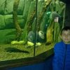 zoo 28